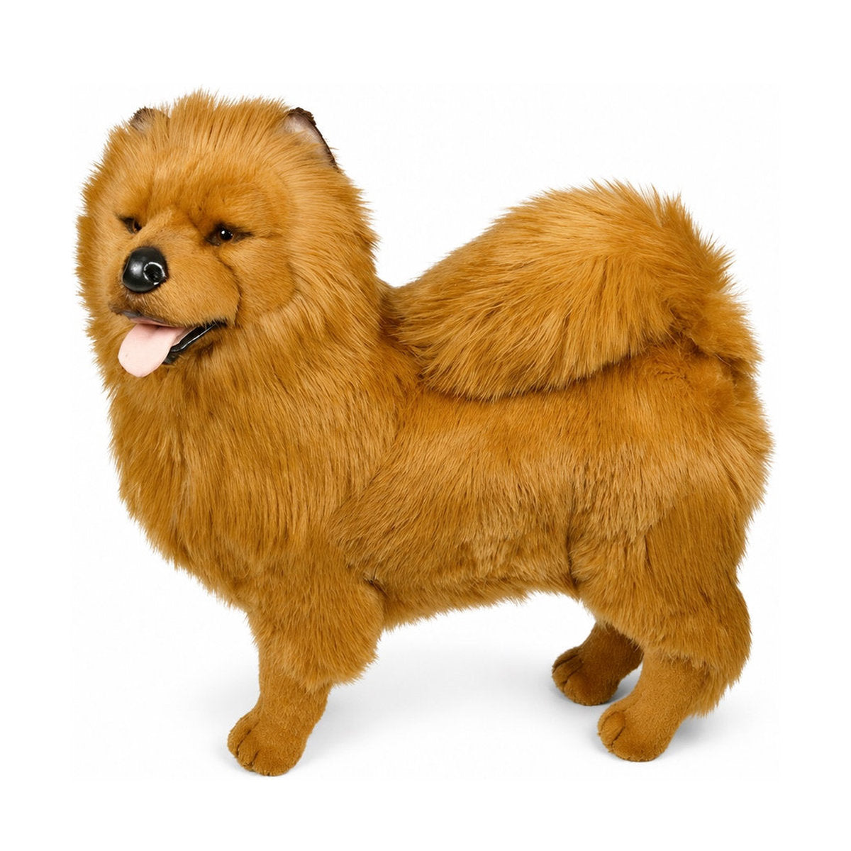 Piutrè Red Chow Chow