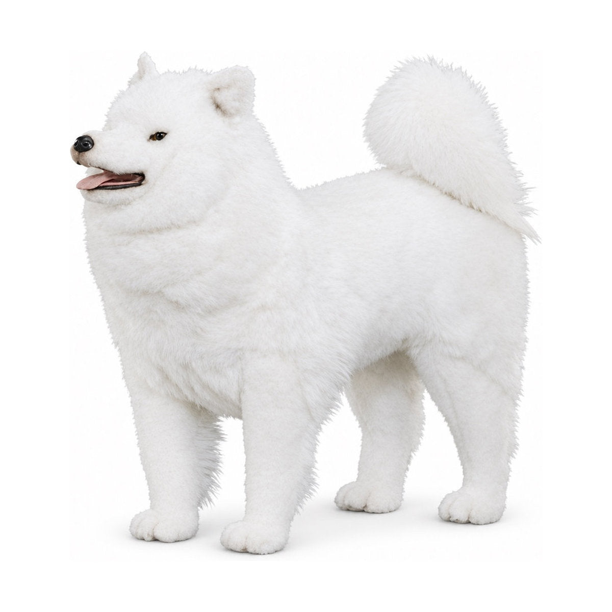 Piutrè Samoyed