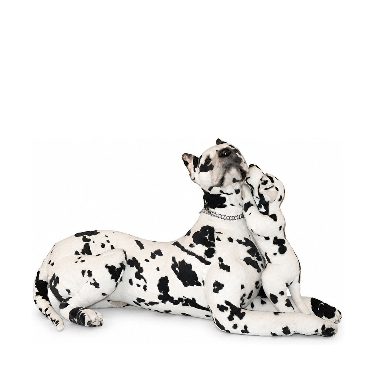 Piutrè Great Dane Harlequin