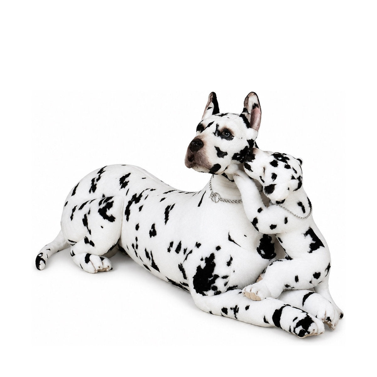 Piutrè Great Dane Harlequin