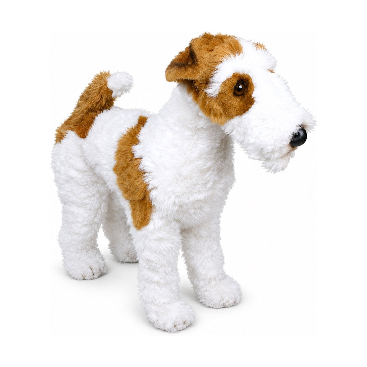 Piutrè Wire Fox Terrier
