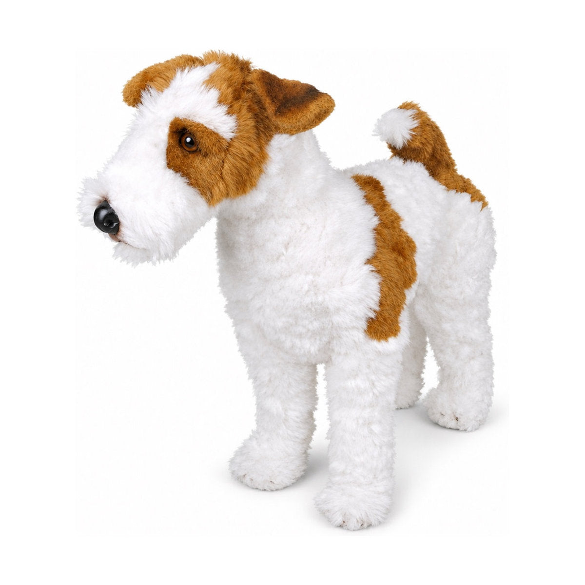 Piutrè Wire Fox Terrier