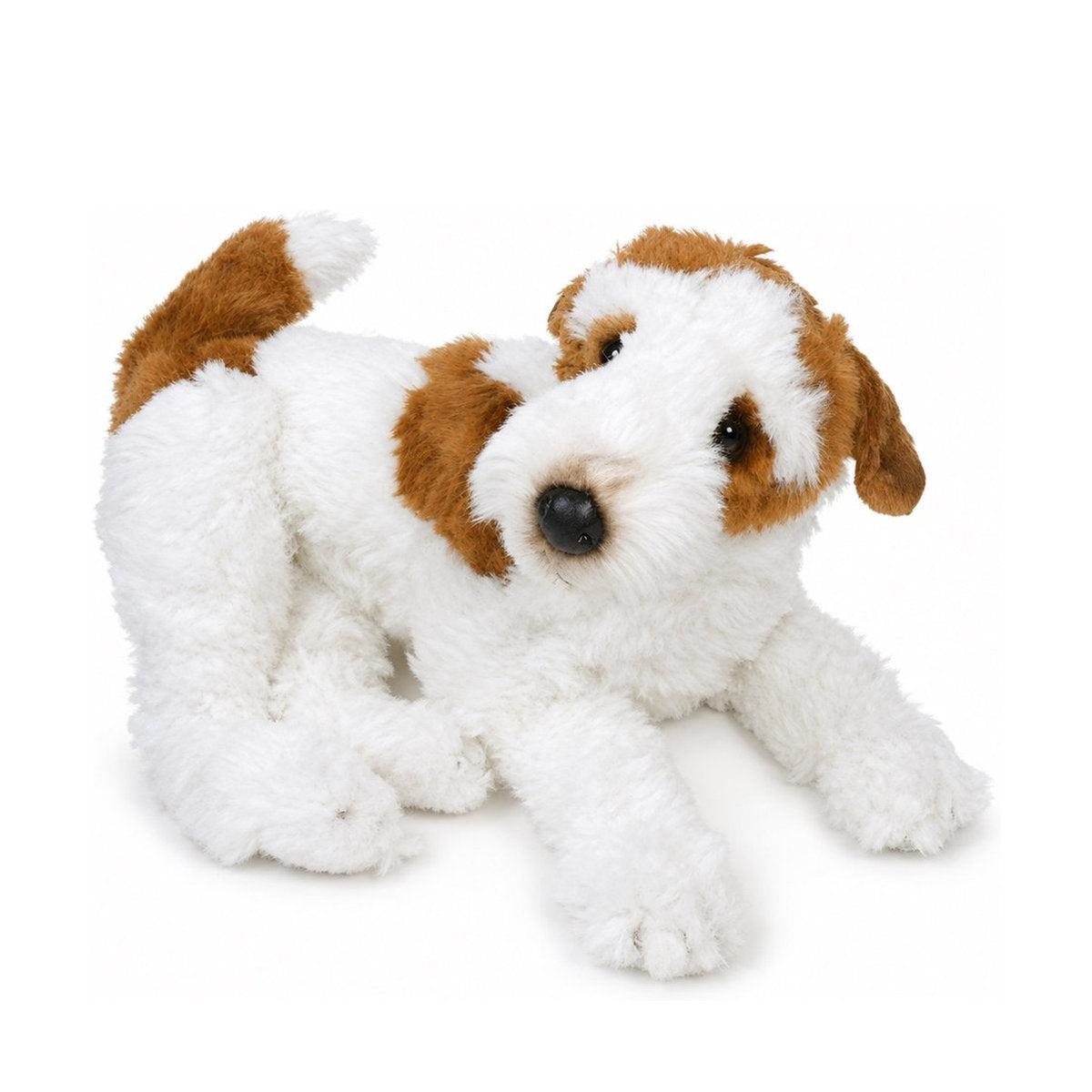 Piutrè Wire Fox Terrier