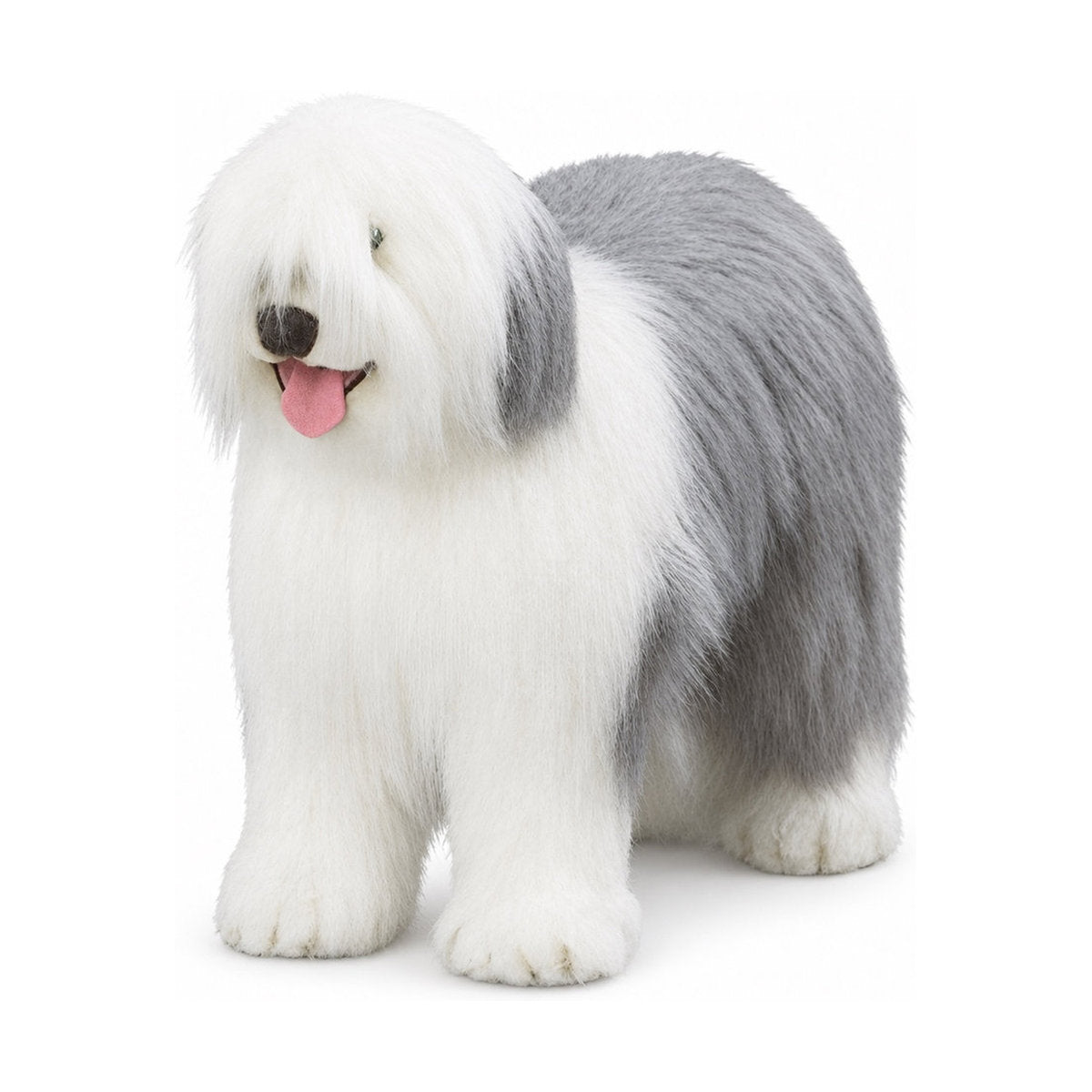 Piutrè Old English Sheepdog