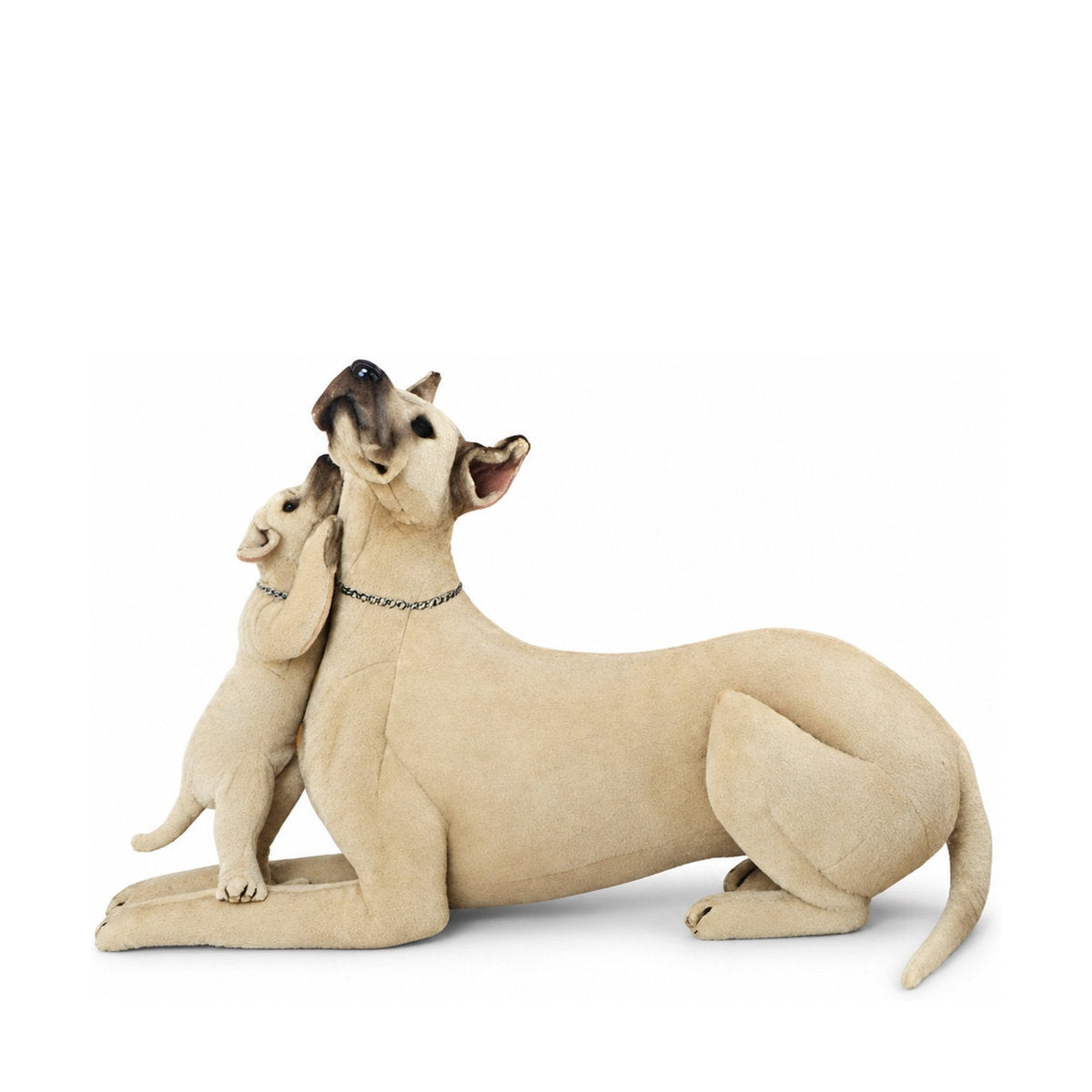 Piutrè Great Dane