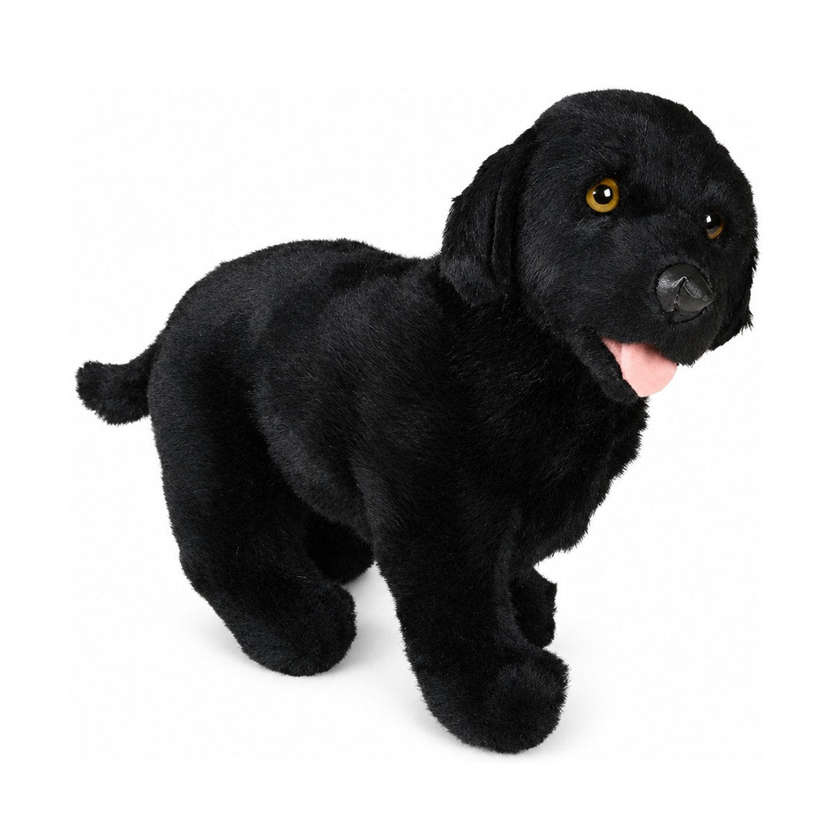 Piutrè Black Labrador Retriever