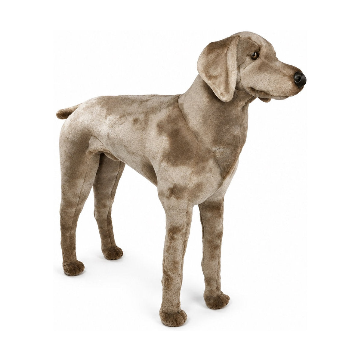 PIUTRE-3350 pose:standing