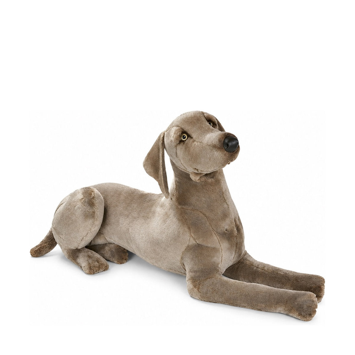 PIUTRE-3352 pose:lying
