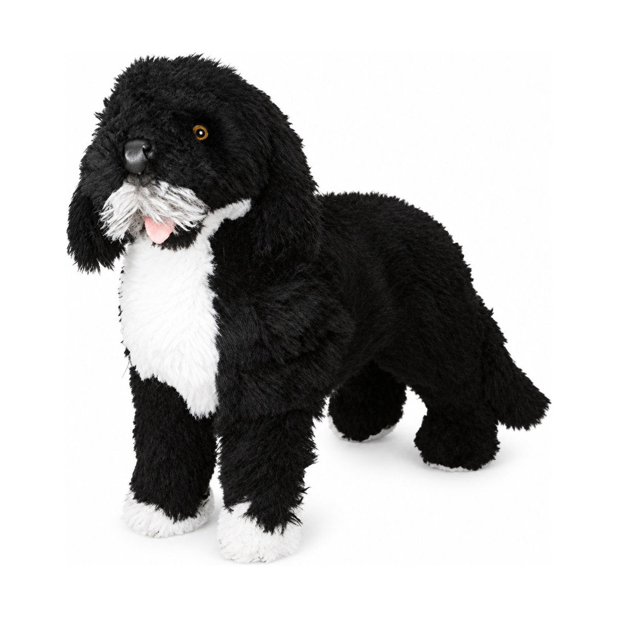 Piutrè Portuguese Water Dog