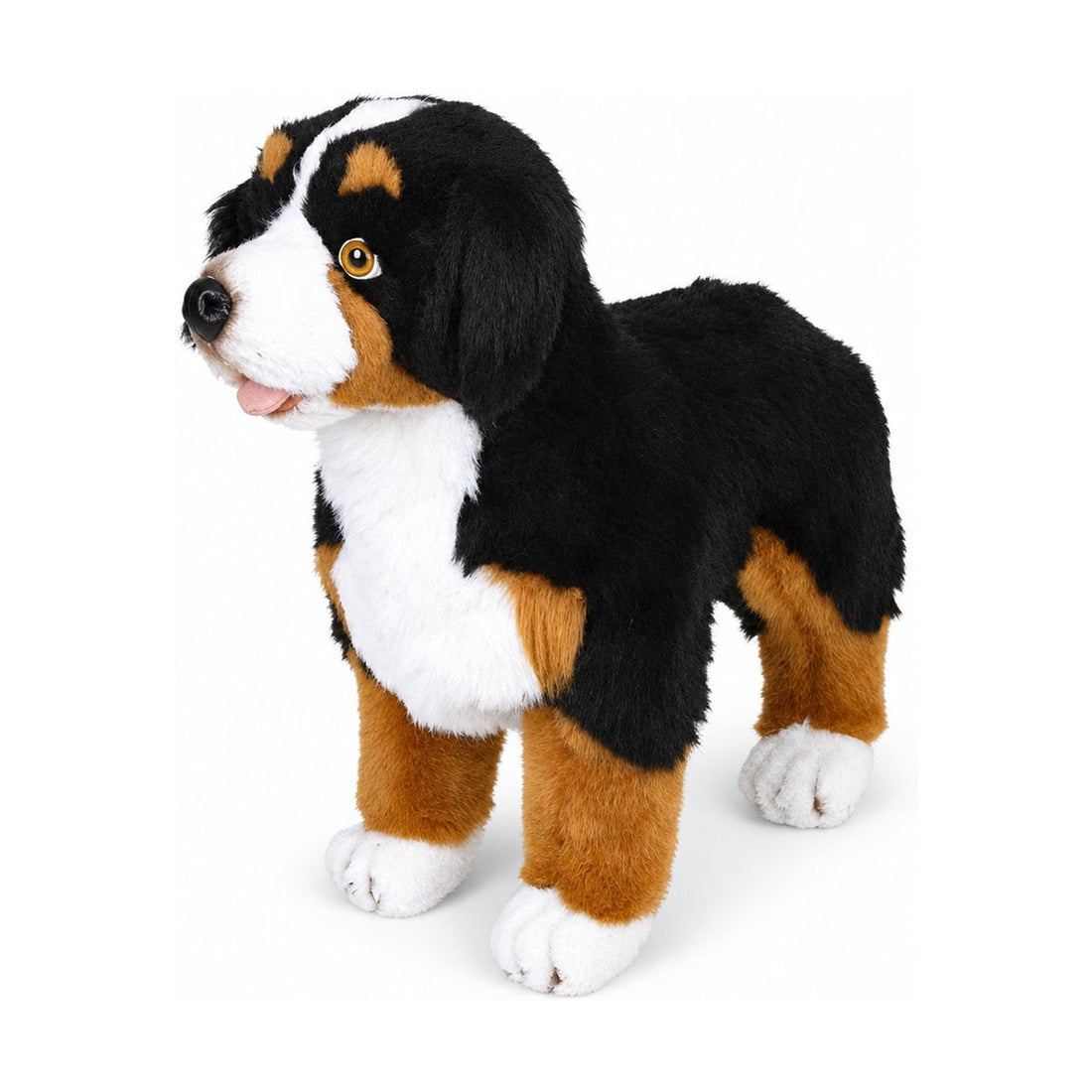 Piutrè Bernese Mountain Dog
